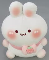 楽天市場】【中古】BABY, THE STARS SHINE BRIGHT / うさくみゃ