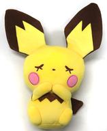 【中古】ぬいぐるみ ピチュー(目閉じ) ぬいぐるみ 「衣嚢変わり種×ITS’ DEMO」