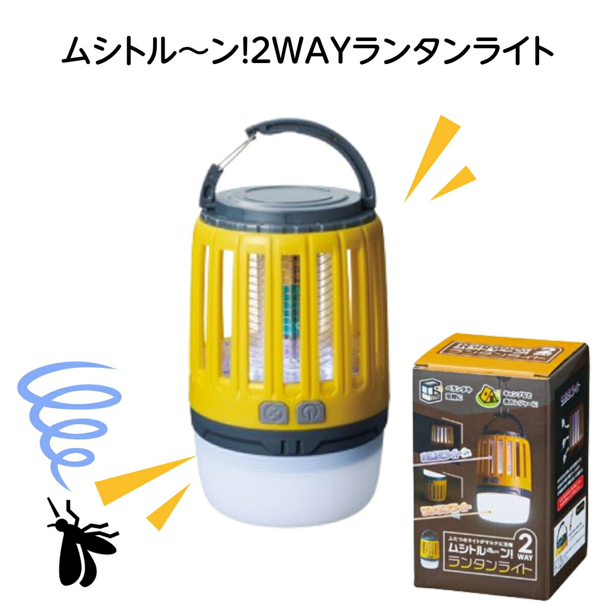有りがたさを贈る、夏のご御挨拶特集