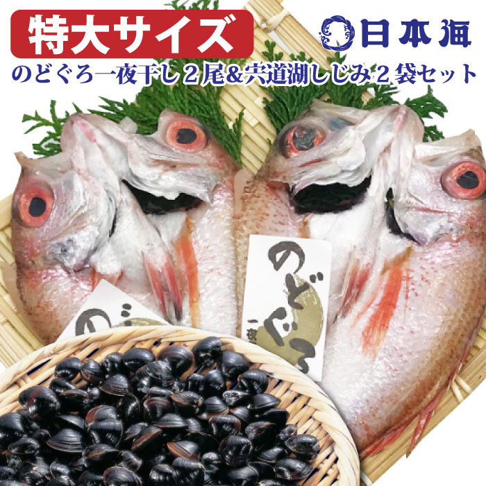 KNOX（ノックス）CA4LA クラッシャブルワイドブリムハット サイズ60