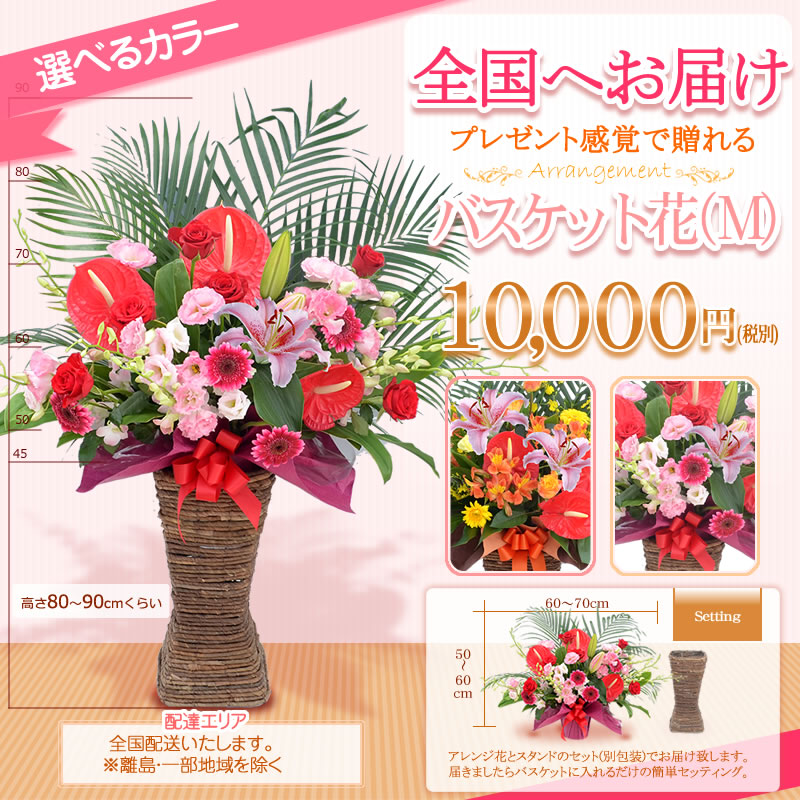 夏季限定ひまわりアレンジ販売中 開店祝い 花 高さ80cm位 選べる5色 円 色指定 宅配配送 税別 ギフト 夏季限定ひまわりアレンジ販売中 開店祝い 花 高さ80cm位 選べる5色 円 色指定 宅配配送 税別 ギフト