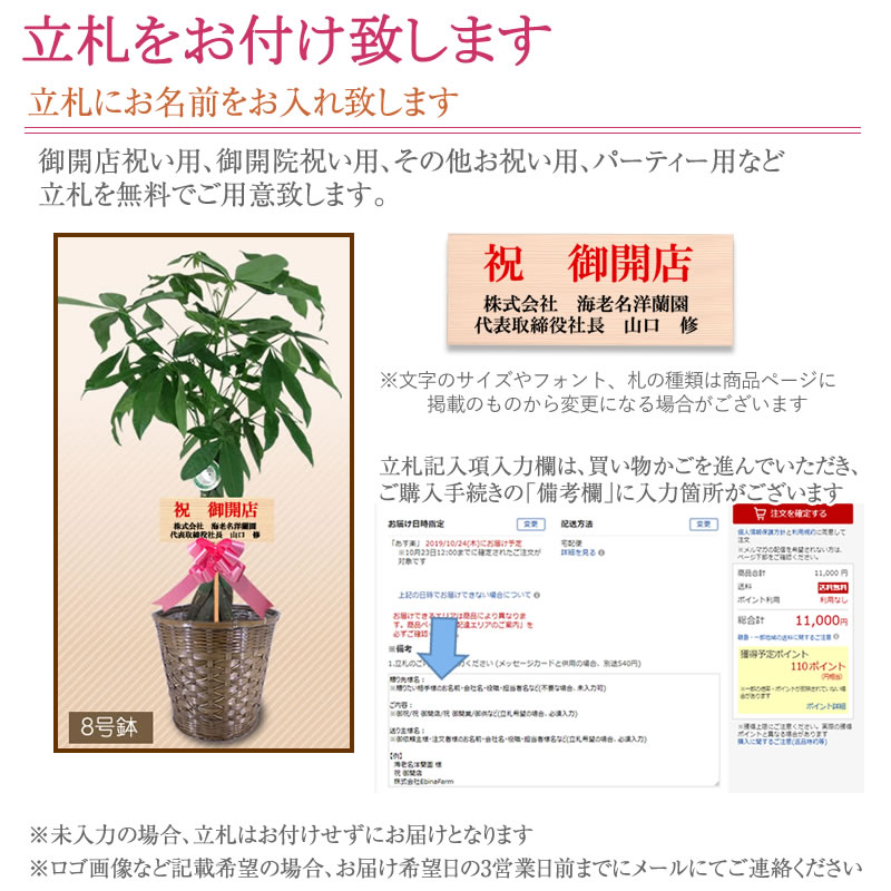 全品送料0円 おしゃれ 10号 0cm 観葉植物 コンサート 送料無料 大型 パキラ フェニックスロベレニー アレカヤシ ポイント10倍 観葉植物 開店祝 大阪 ポイント10倍 インテリア 開院 東京都 神奈川県などへお届け 一部除く 鉢 引越祝 新築 誕生日 育て方