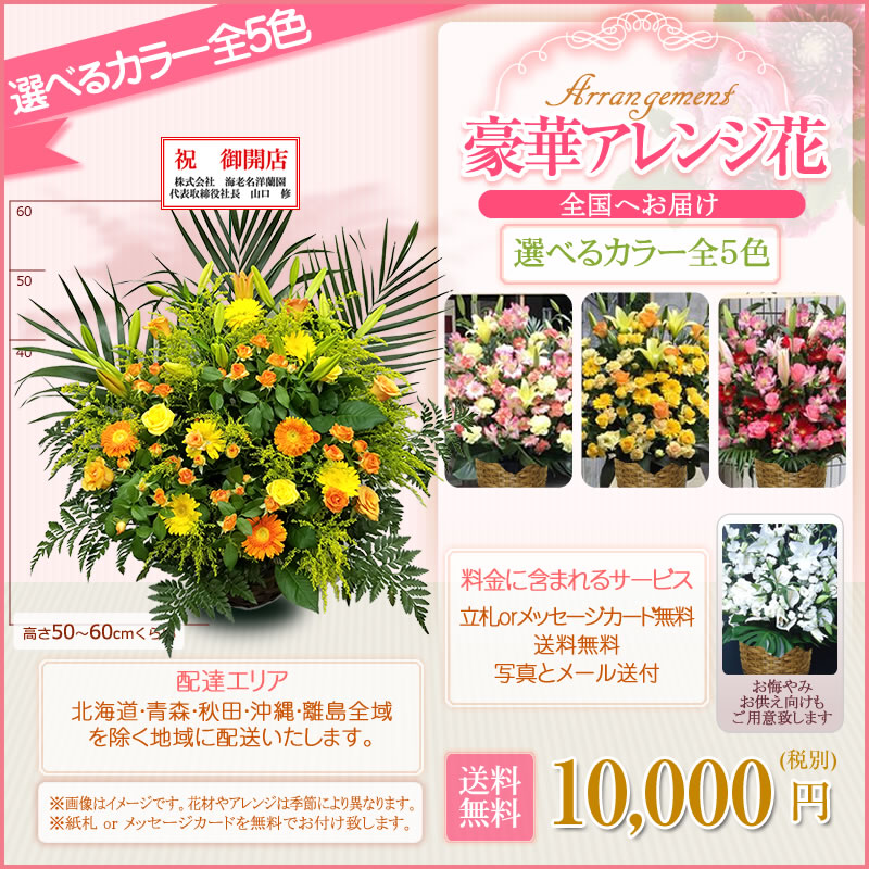 宅配にてお届け お祝い 花 ギフト 誕生日 還暦 米寿 開店 移転 開院 お供え オープン 結婚式 披露宴 会場装花 ライブ お彼岸 アレンジ花 L フラワーアレンジメント 色指定 円 税別 高さ60cm位 海老名洋蘭園 お祝い 花 ギフト 誕生日 還暦 米寿 開店 移転