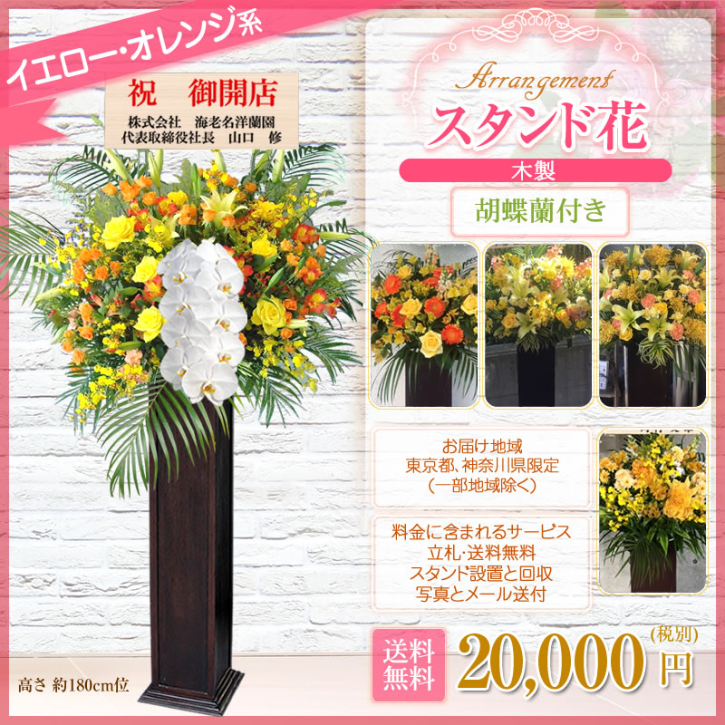 スタンド花 開店祝い 花 胡蝶蘭付きスタンド花 木製 発表会 花色は選べる5色 000円 税別 高さ180cm位 コンサート あす楽 送料無料 花 東京都 神奈川県 一部除く スタンド花 開店祝い 移転 開院 お祝い 式典 公演 結婚式 会場装花 ライブ フラワースタンド Wd