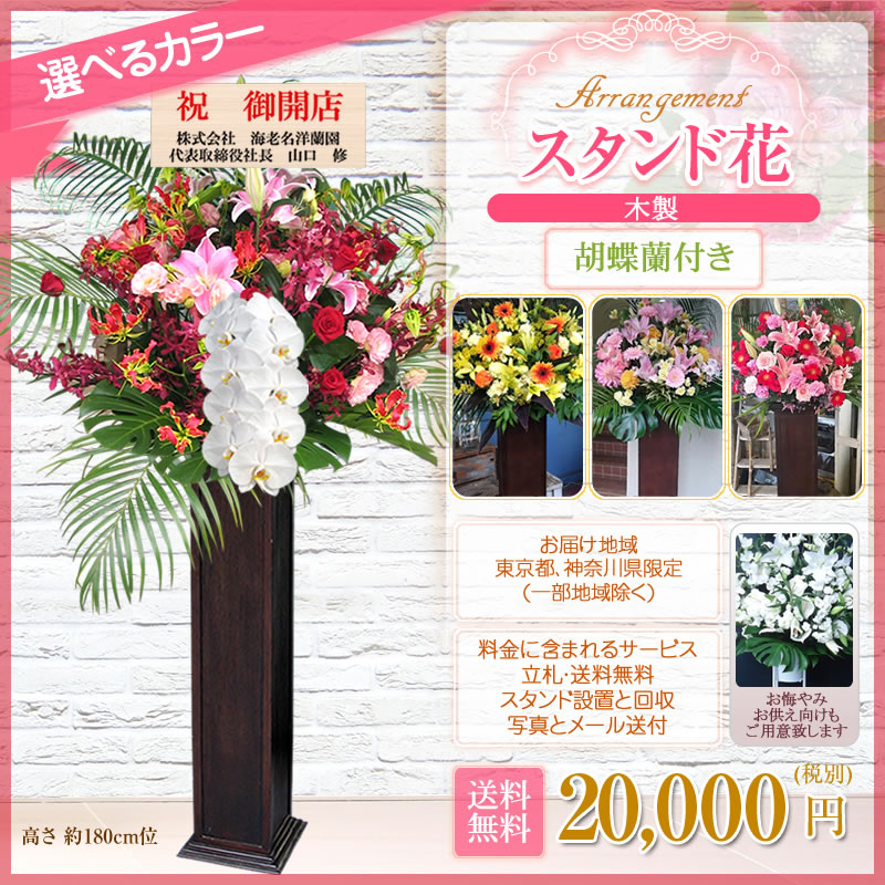 高い素材 スタンド花 木製 ウッド 胡蝶蘭付き 開店祝い 花 花色は選べる5色 000円 税別 高さ180cm位 送料無料 東京都 神奈川県 一部除く スタンド花 開店祝い 移転 開院 お祝い 式典 公演 結婚式 会場装花 ライブ フラワースタンド Wd 最適な価格