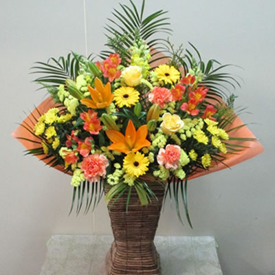 【提げ篭花 M】開店祝賀会 花 差し上げ物 色任ずる 11000円(税別) 選べる5色 高さ80珊位  宅配送りとどける【告げ知らせる会 開店祝賀会 移し替える 開院 祝賀会 御祝い 演ずる 開けはなし 華燭の典 今めかしい ライブ フラスタ 御花照明ランプ】【st-bsk】