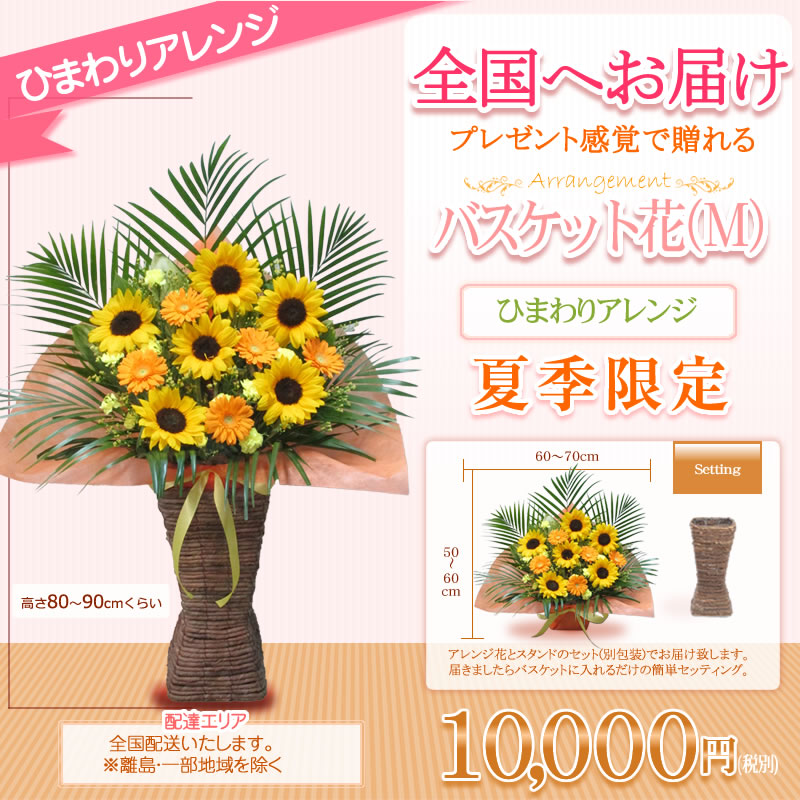 夏季限定ひまわりアレンジ販売中 開店祝い 花 高さ80cm位 選べる5色 円 色指定 宅配配送 税別 ギフト 夏季限定ひまわりアレンジ販売中 開店祝い 花 高さ80cm位 選べる5色 円 色指定 宅配配送 税別 ギフト