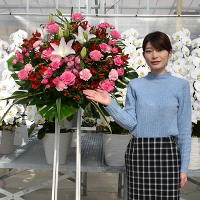 楽天市場 スタンド花 開店祝い 花 スタンド花 1段 宅配 花色おまかせ 高さ160 170cm位 スタンド花 開店祝い 移転 開院 お祝い 式典 公演 オープン 結婚式 会場装花 ライブ フラスタ フラワースタンド Stta スタンド花専門 海老名洋蘭園