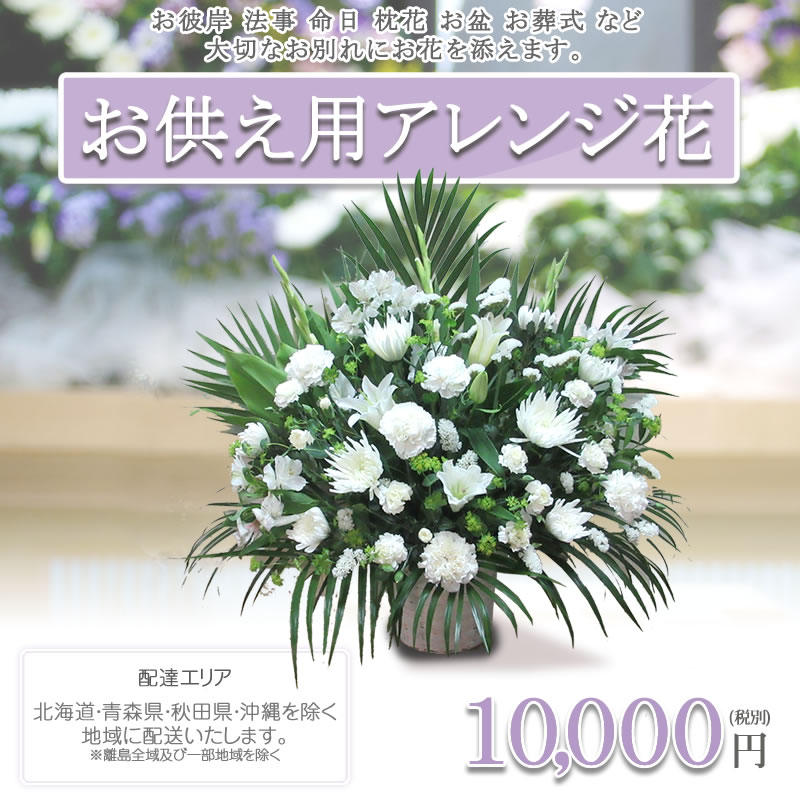 アレンジ花 L お供え 花 白い花のアレンジメント 花 ギフト 円 税別 高さ50 60cm位 供花 お供え お悔やみ 花 仏花 法事 四十九日 法要 お葬式 命日 一周忌 花 喪中見舞い お彼岸 お盆 初盆 贈り物 枕花 法事 Giosenglish Com