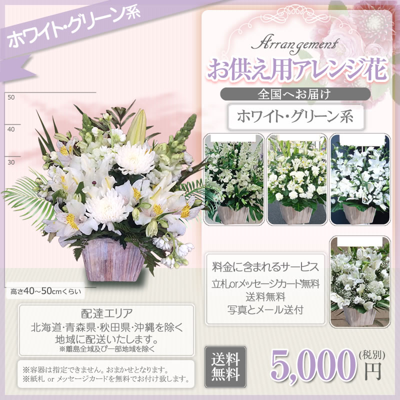 アレンジ花 S お供え 花 白い花のフラワーアレンジメント 花 ギフト 5000円 税別 高さ40 50cm位 供花 お供え お悔やみ 花 仏花 法事 四十九日 法要 お葬式 命日 一周忌 お供え生花 喪中見舞い お彼岸 お盆 初盆 贈り物 枕花 法事 Giosenglish Com