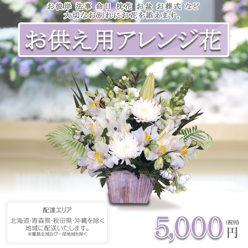 アレンジ花 S お供え 花 白い花のフラワーアレンジメント 花 ギフト 5000円 税別 高さ40 50cm位 供花 お供え お悔やみ 花 仏花 法事 四十九日 法要 お葬式 命日 一周忌 お供え生花 喪中見舞い お彼岸 お盆 初盆 贈り物 枕花 法事 Crunchusers Com