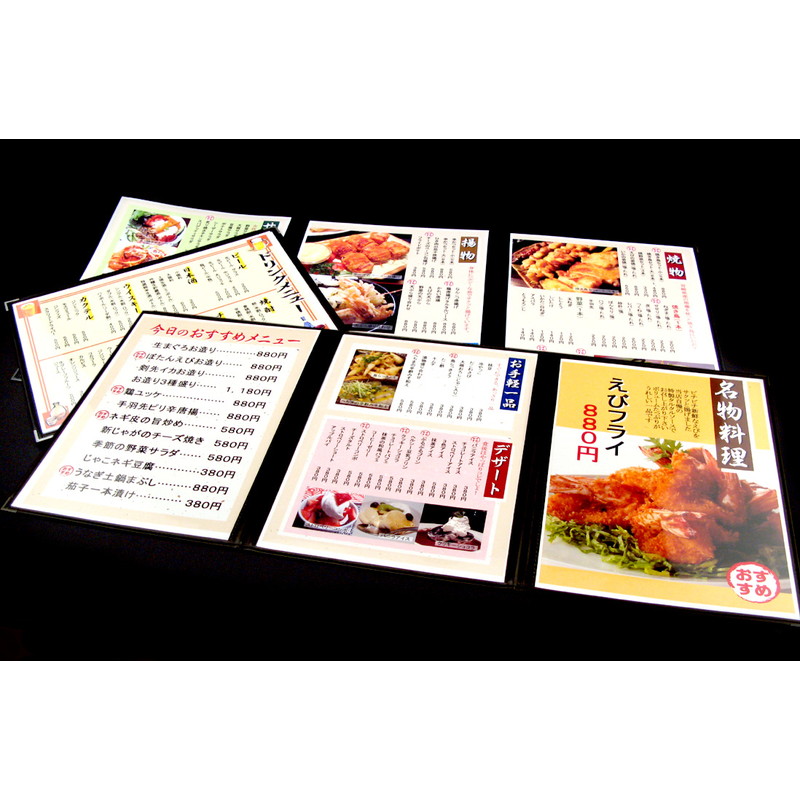 簡易製作 らくらく飲食店メヌーvol 2 Ch 02 チェス Pcパッケージソフトウェア メニュー真面作成ソフト メニュー本作成 丸薬も相応う Cannes Encheres Com