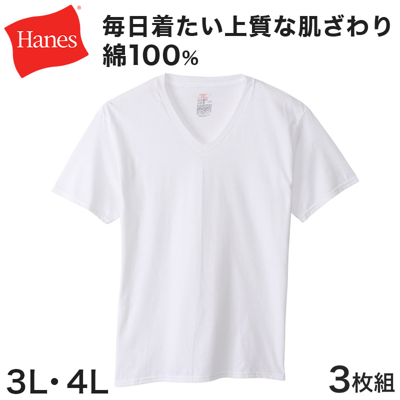 楽天市場】ヘインズ 部活魂 クルーネックTシャツ 2枚組 M〜LL (Hanes メンズ 下着 肌着 tシャツ シャツ インナー 半袖 丸首 速乾  メッシュ スポーツ M L LL) : すててこねっと