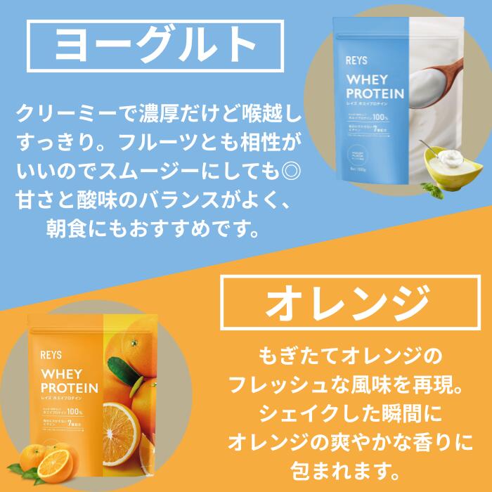 REYS レイズ ホエイ プロテイン 1kg 国内製造 ビタミン7種配合 WPC