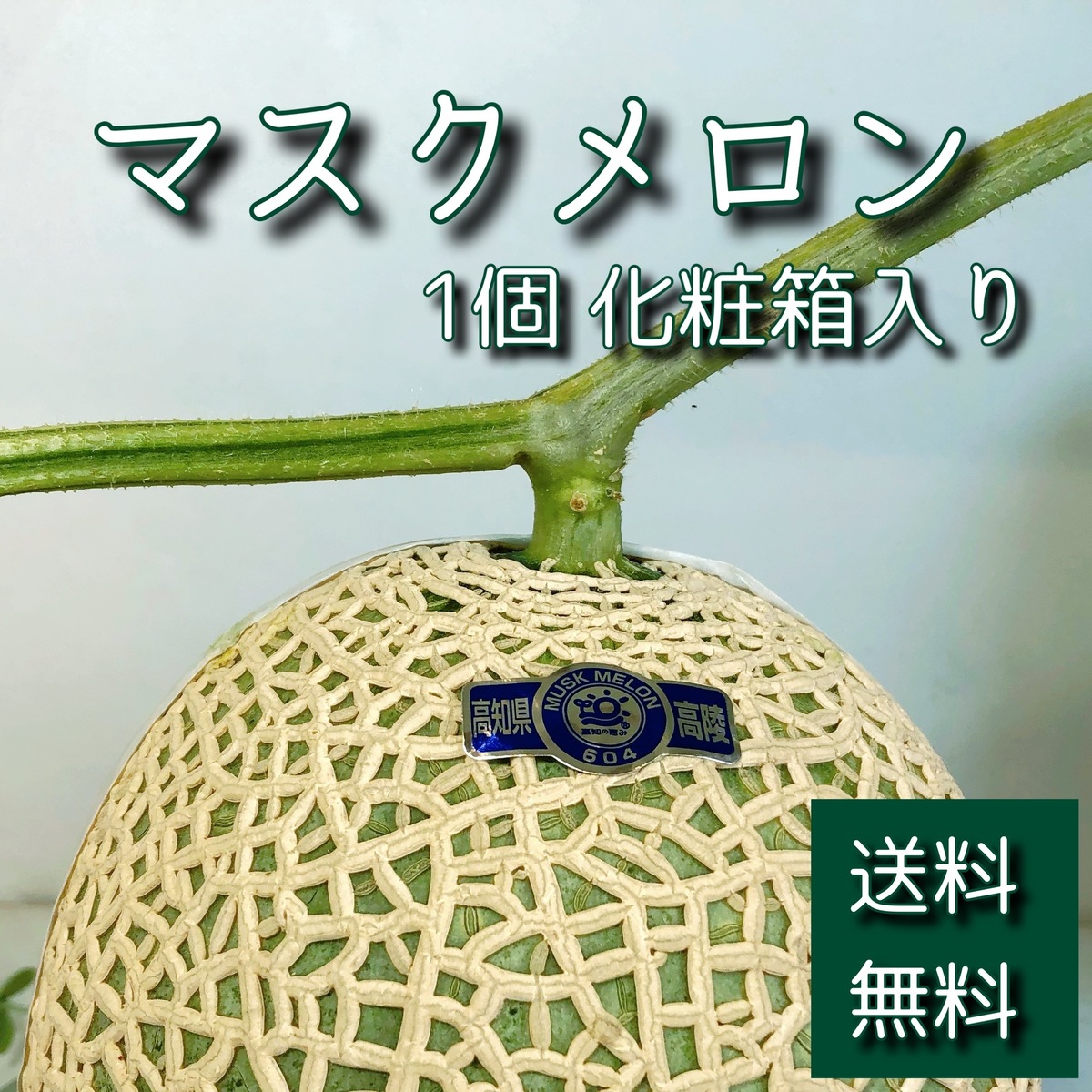 ＊ マスクメロン 1個 化粧箱入り ＊<br>マスクメロン アールスメロン メロン <br>フルーツ くだもの 果物  <br>ギフト プレゼント ご進物 <br>お年賀 お中元 お歳暮 <br>お祝い 内祝い 誕生日 <br>母の日 父の日 敬老の日 <br>法事 法要 御供 <br>送料無料 送料込み