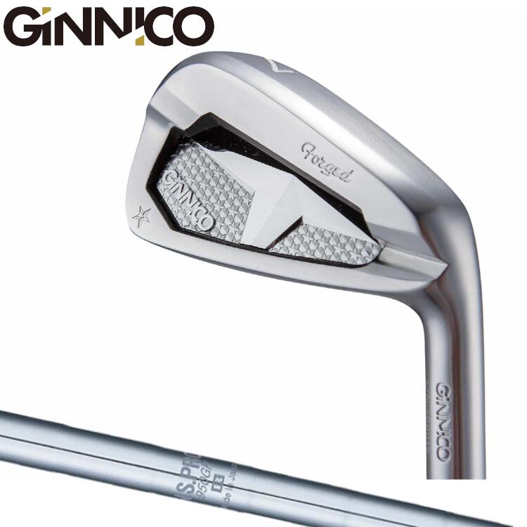 【EON SPORTS／イオンスポーツ】GINNICO PC IRON　ジニコ PC　アイアンN.S.PRO950GHスチールシャフト｜スズキゴルフオンライン