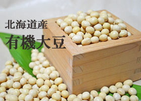 【佐川急便でのお届け　代引き決済不可】有機大豆29.5キロ（業務用紙袋）