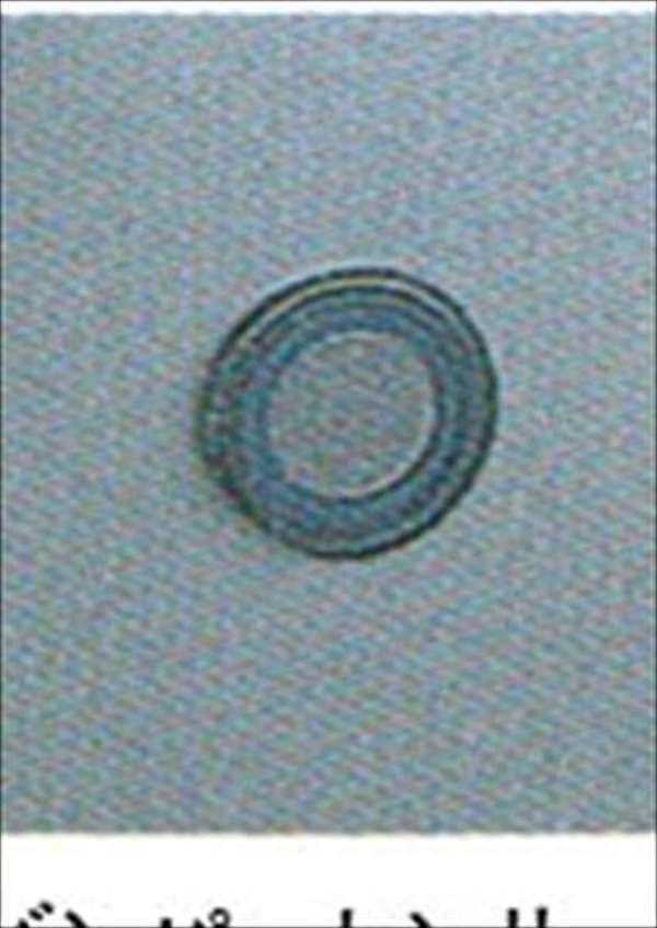 楽天市場 ジムニー 純正 Jb23 コーナーセンサー パーツ スズキ純正部品 危険察知 接触防止 セキュリティー Jimny オプション アクセサリー 用品 株式会社 スズキモータース