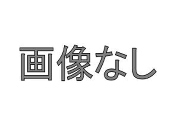 ステップワゴン パーキングセンサー4センサー用の取付アタッチメントのみ ※フロントセンサー、リアセンサー、スイッチキットは別売