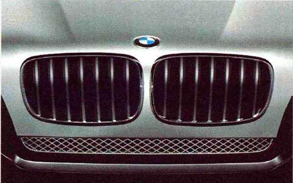 X5 パーツ ＢＭＷ Ｐｅｒｆｏｒｍａｎｃｅブラック・キドニー・グリル※左右単品販売 BMW純正部品 KS30S KS30 KR44S KR44 オプション アクセサリー 用品 純正 グリル