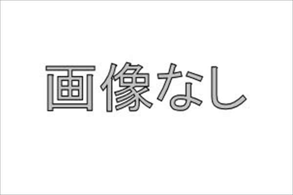 ランディ 純正 SGC27 SGNC27 リモコンエンジンスターター アイドリングストップ無車用 用のフードスイッチキットのみ ※他付属品別売 パーツ  スズキ純正部品 無線エンジン始動 リモートスタート ワイヤレス オプション アクセサリー 用品 人気の定番