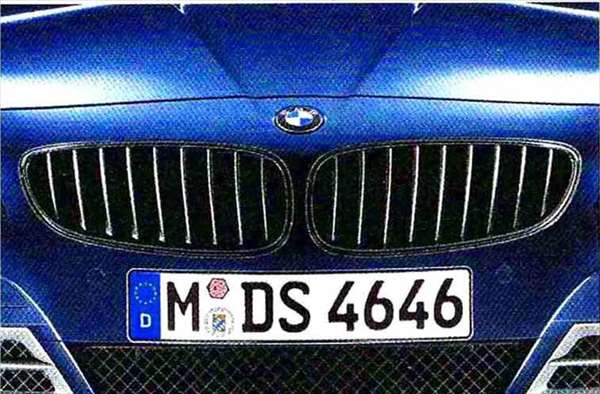 Z4 パーツ ブラック・フロント・グリル BMW純正部品 LL20 LM30 LM35 オプション アクセサリー 用品 純正 グリル