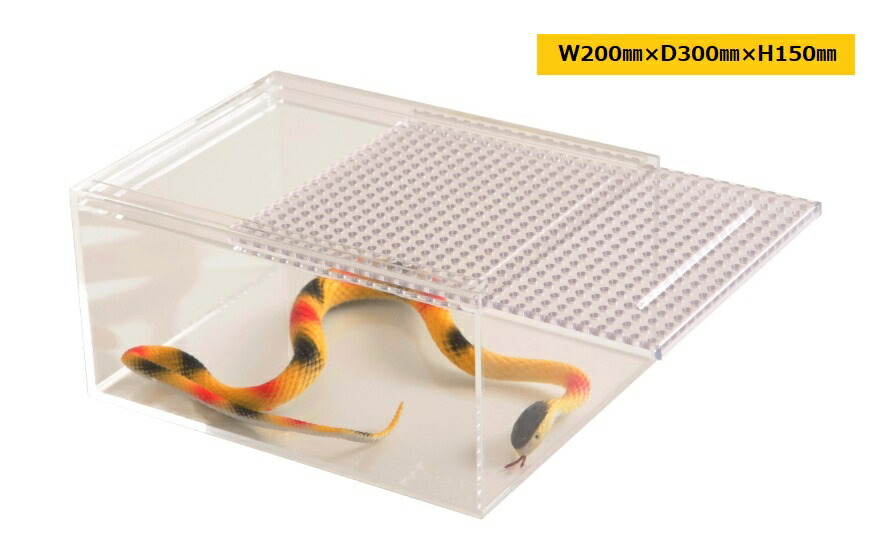 楽天市場】アクリル 爬虫類 飼育ケース 【Sサイズ】 昆虫飼育ケース