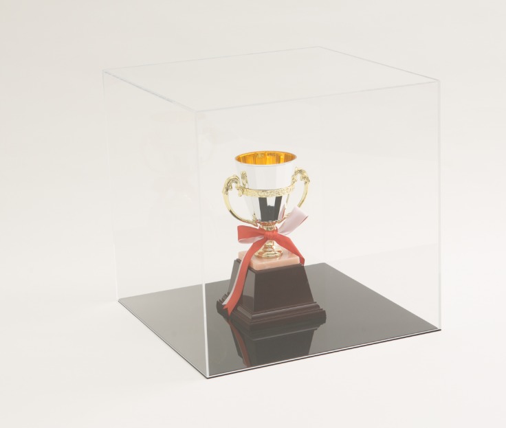 アクリル フィギュアケース 台座付 W250×D250×H250 黒 ブラック アクリルケース アクリルボックス コレクションケース ショーケース 展示ケース 人形ケース ボックス ディスプレイ 展示 陳列 フィギュア 25cm 25センチ トロフィー