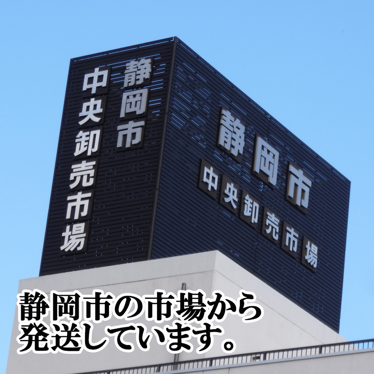 市場 梅酢 本場紀州製 1リットル×2本 しそ漬