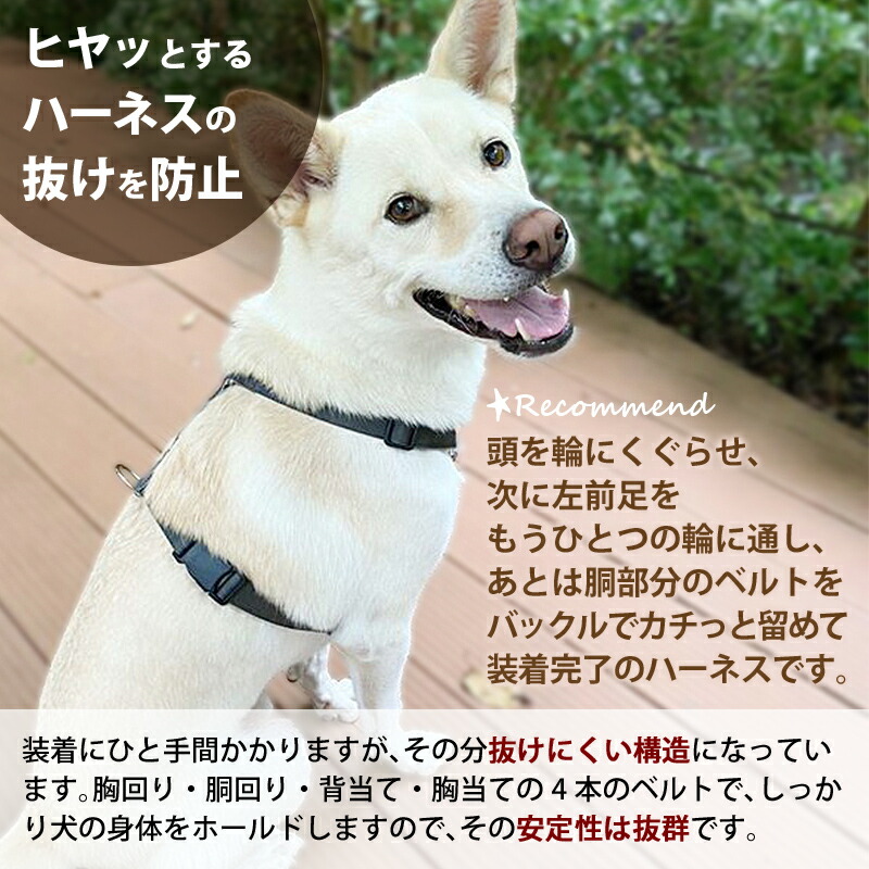 楽天市場 犬 ハーネス 胴輪 小型犬 中型犬 大型犬 抜けない 抜けにくい 負担の少ない 迷子防止 速乾素材で雨の日も安心 アウトドア 日本製 おしゃれ かわいい 名入れ可 カラフル ベーシック ベーシックハーネス スタンダードタイプ あす楽 犬猫の首輪店 すず首輪製作工房