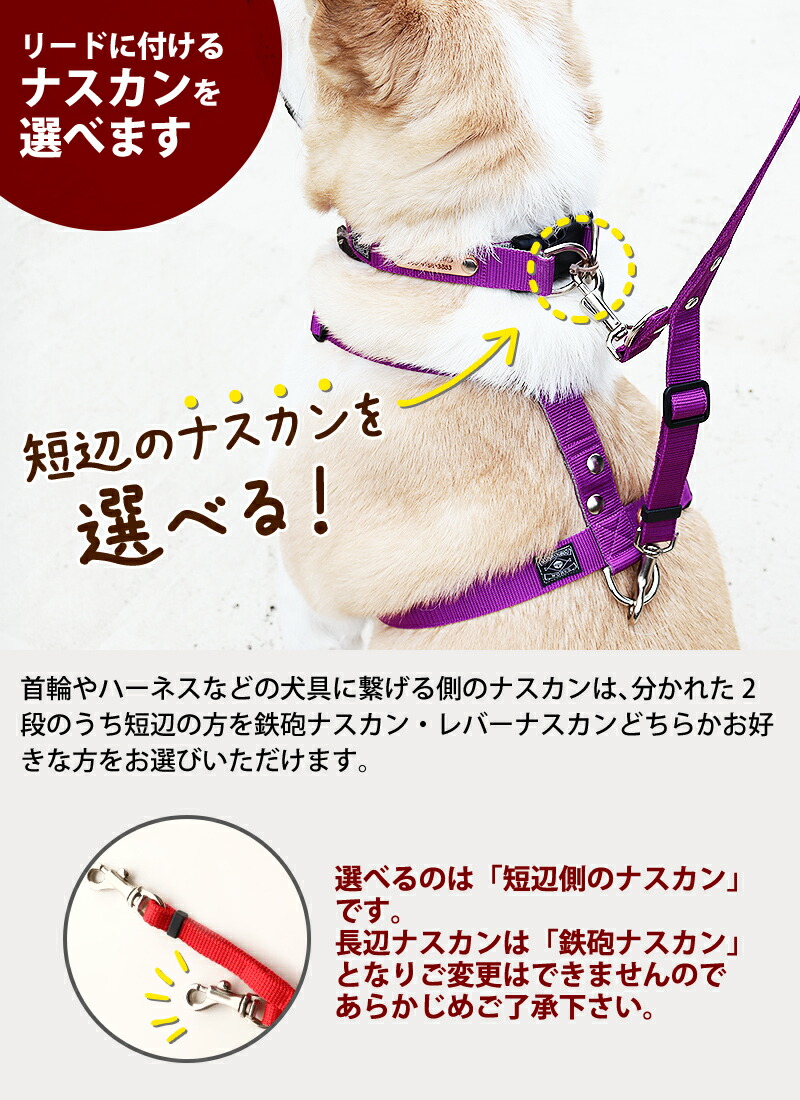 楽天市場 営業日13時迄注文 あす楽即日出荷 犬 リード ダブルリード 迷子防止 小型犬 中型犬 大型犬 日本製 多機能 雨の日用にも 速乾 おしゃれ かわいい カラフル ベーシック ダブルリード ふかふかハンドルパッド付き 犬猫の首輪店 すず首輪製作工房