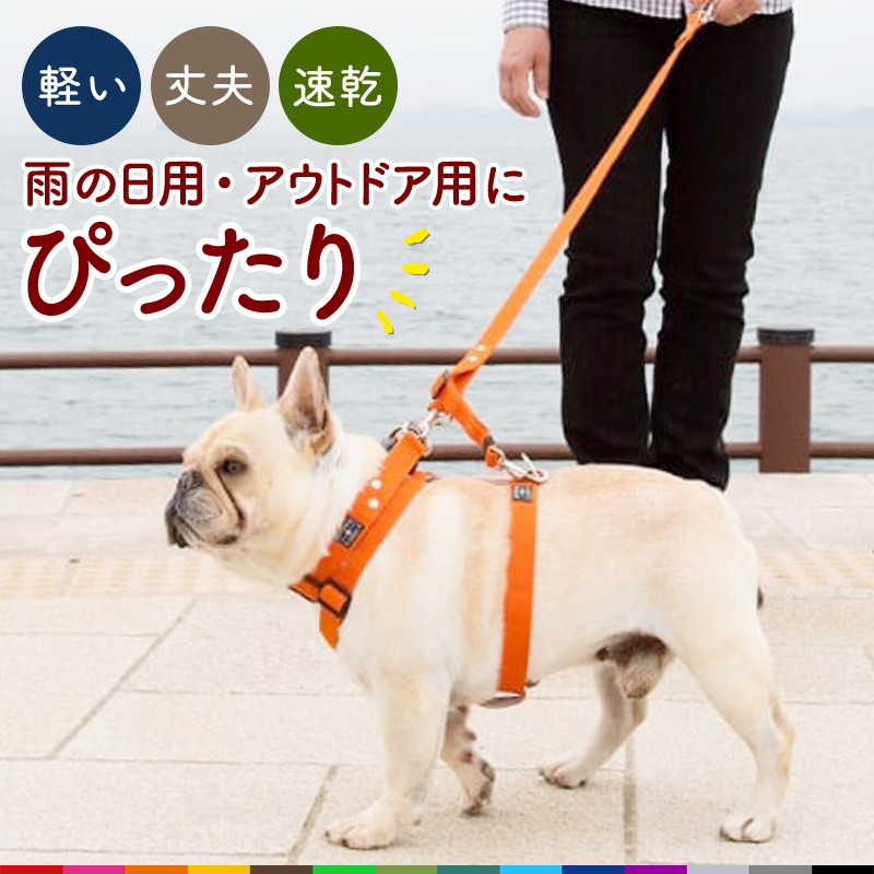 楽天市場 営業日13時迄注文 あす楽即日出荷 犬 リード ダブルリード 迷子防止 小型犬 中型犬 大型犬 日本製 多機能 雨の日用にも 速乾 おしゃれ かわいい カラフル ベーシック ダブルリード ふかふかハンドルパッド付き 犬猫の首輪店 すず首輪製作工房