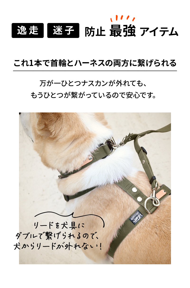 犬用【本革】ハンドフリーリードandハーネス多頭飼い用！ 2匹