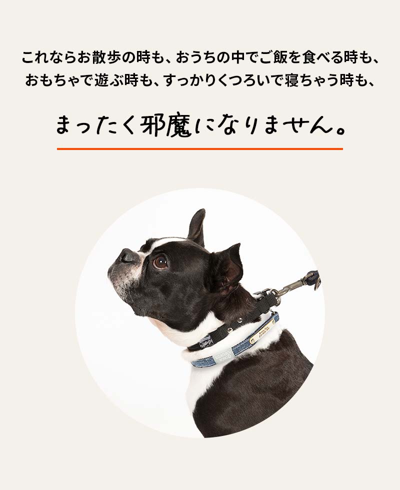 犬用チョーカー 犬の首輪と併用