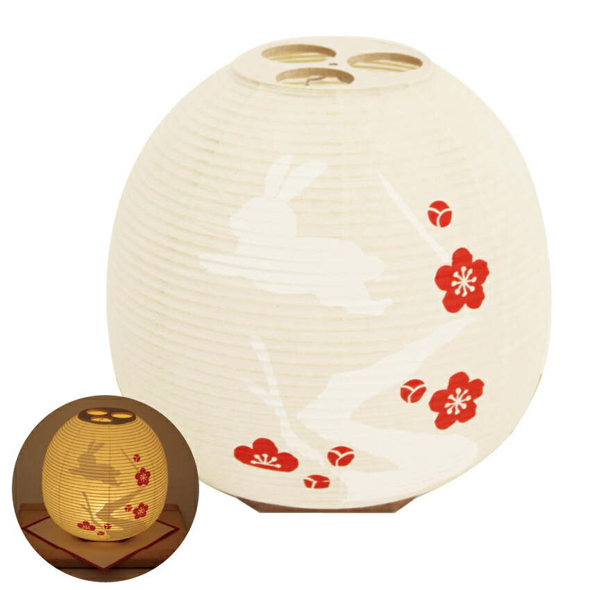 1番自慢の夜桜メダカ！！800円 めだか