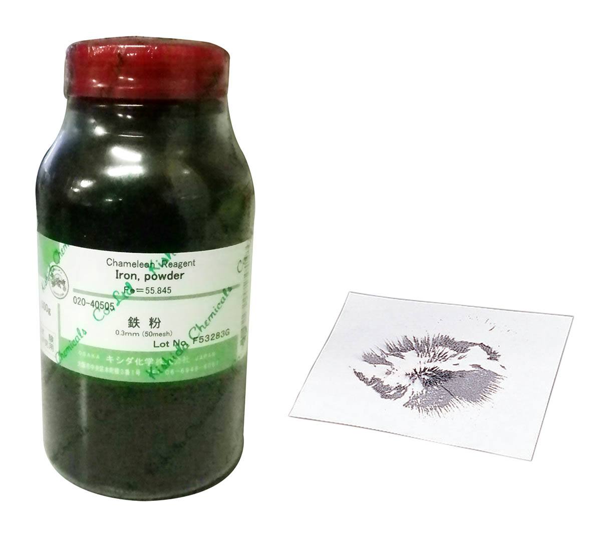 楽天市場】染色液 SK 酢酸カーミン 15mL 10本入 : SUZUMORI
