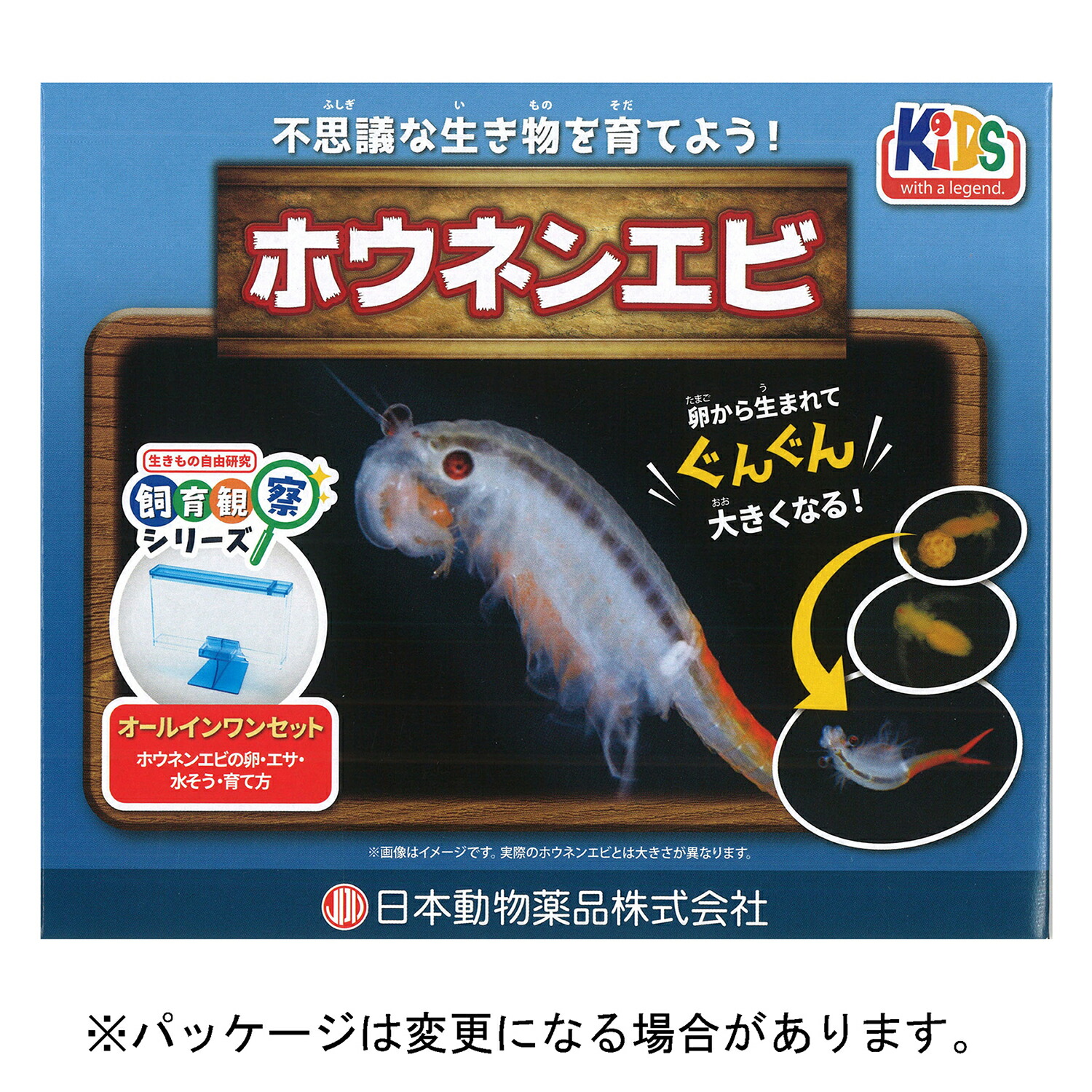 楽天市場】アルテミア 飼育 観察セット 生きた化石を育てよう