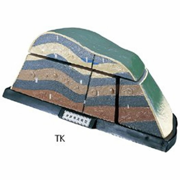 地層模型　ＴＫ