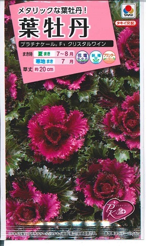 楽天市場】タキイ 種 葉牡丹 プラチナケール(R)F1クリスタル ピンク 約