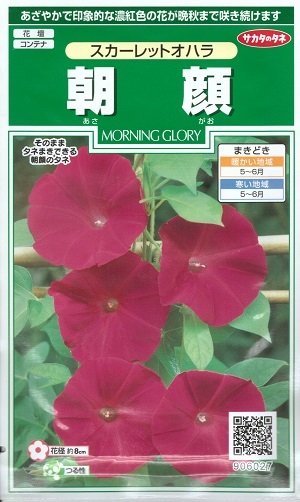 楽天市場】【朝顔】暁の紅【サカタのタネ】（1ml）【アサガオ】906002