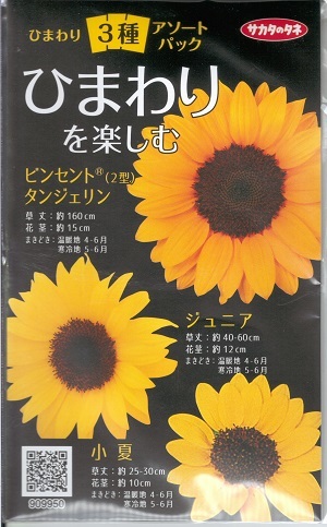 NO?YES! ひまわりのたね NO?YES! ひまわりのたね