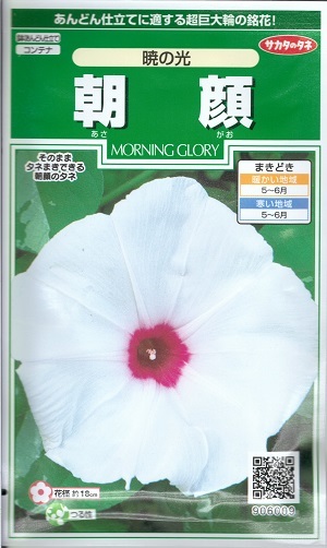 あさがお 楽天市場】あさがお栽培ｾｯﾄ 鉢 青 受け皿 小学生 夏休み 自由