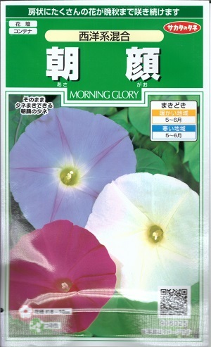 花種子 サカタのタネ 朝顔 約１０本分 西洋系混合 １ｍｌ袋詰 おすすめ 朝顔