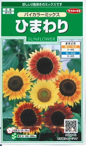 ひまわりん　まとめ売り compass1658557214.jpg