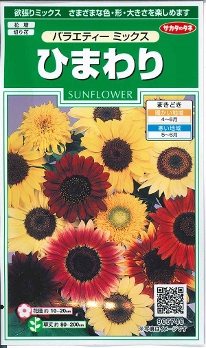 楽天市場】【種子】あさがおxひまわり 2種アソートパック サカタ