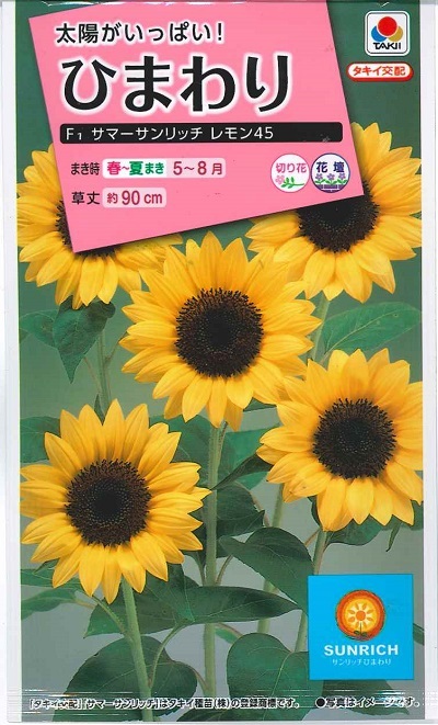 ひまわりです Amazon.co.jp: ZXHYWYM ひまわり キャンバス ウォールアート