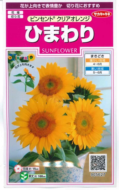 NO?YES! ひまわりのたね NO?YES!/ひまわりのたね