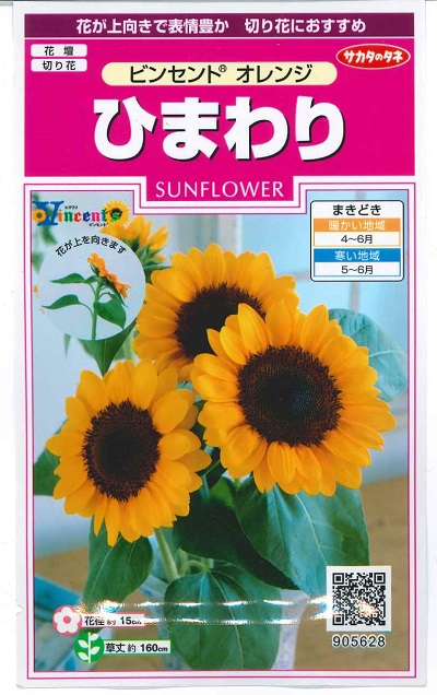 楽天市場】ひまわり種子 サカタのタネ 花の種 ビンセント
