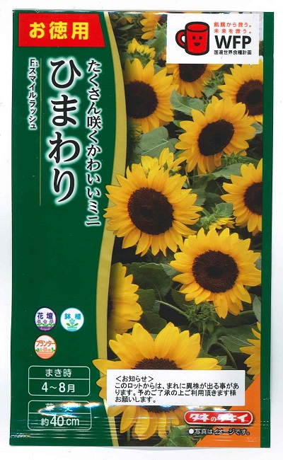 楽天市場】アタリヤ ひまわり スーパーカラフル【4ml】 花種 新世代