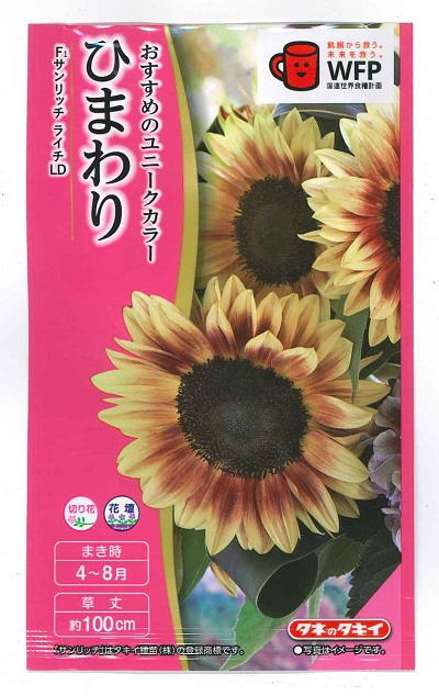 楽天市場】【種子】切花用ひまわり F1サンリッチ レモンお徳用パック